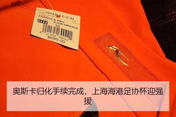 奥斯卡归化手续完成，上海海港足协杯迎强援